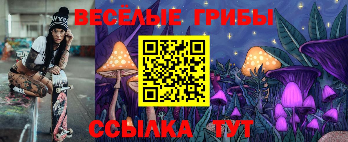 Псилоцибиновые грибы Psilocybine cubensis  Вход с VPN  Бутурлиновка 