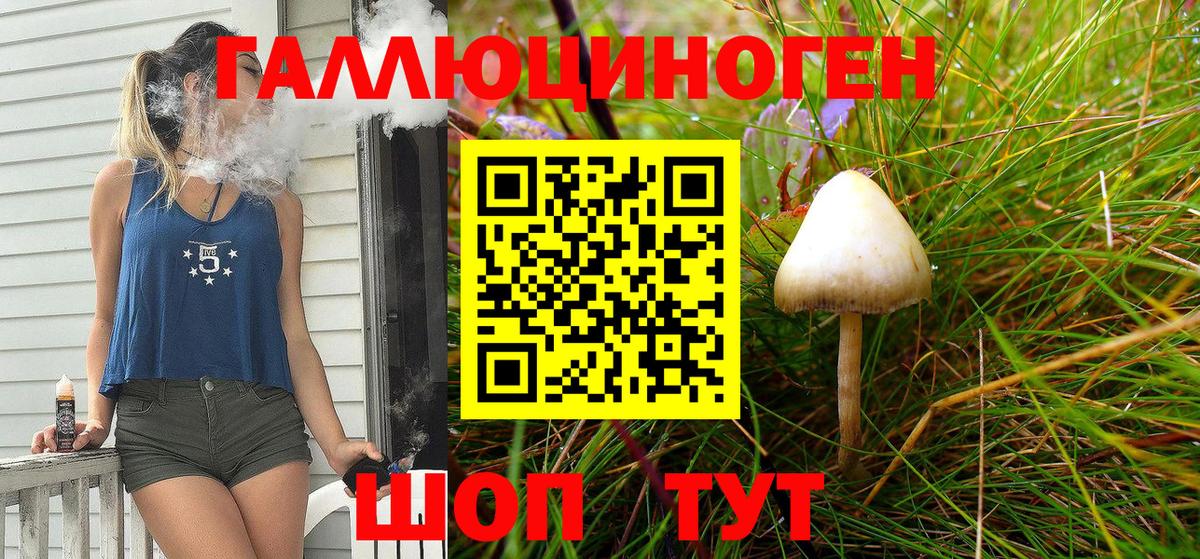 Галлюциногенные грибы GOLDEN TEACHER Бутурлиновка